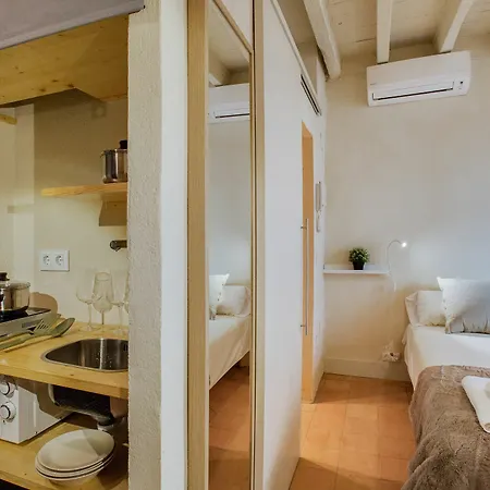 De L Onyar Apartment *